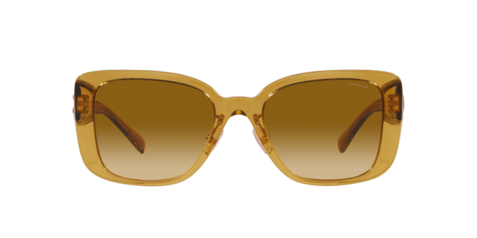 Coach HC8352 57152L Cd472 